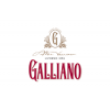 Galliano
