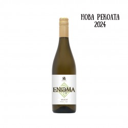 Мускат 2024 Енигма Малката звезда Мускат 2024 Енигма Малката звезда