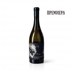 Вионие 2024 Акация Villa Bassarea